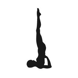 Shoulderstand (Sarvangasana)